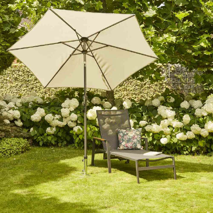 SIENA GARDEN Rasendorn